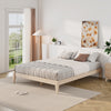 Quail Bed Frame - White Wash