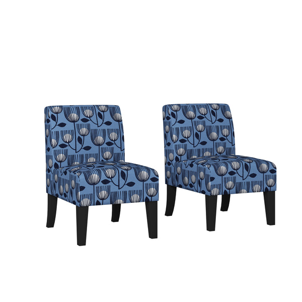 Cinnia Modern Slipper Chairs (Set of 2)