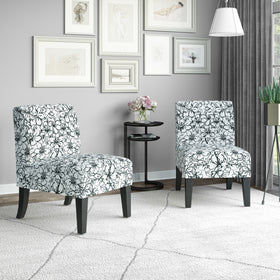 Cinnia Modern Slipper Chairs (Set of 2)