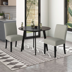 O'Kane Parsons-Style Dining Chairs (Set of 2)