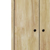 Saffrahn Mid-Century Modern Vertical Wood Chest with Doors