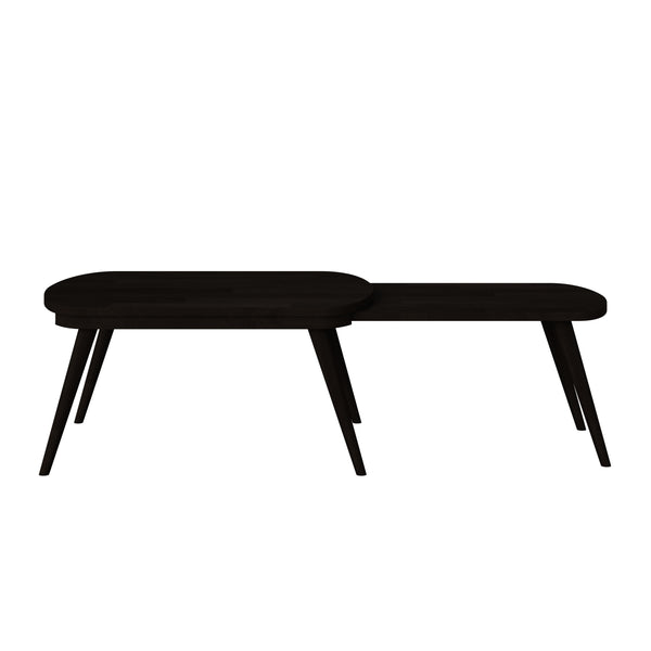 Saffrahn Modern Nesting Wood Cocktail Table