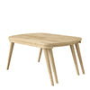 Saffrahn Modern Nesting Wood Cocktail Table